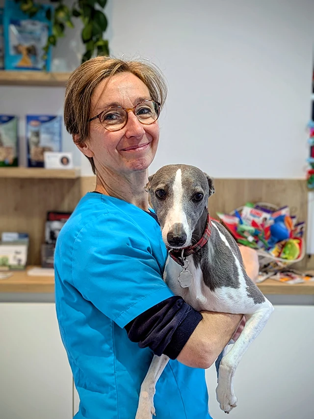 portrait Sophie Desbois - clinique vétérinaire Churchill à Vannes 56